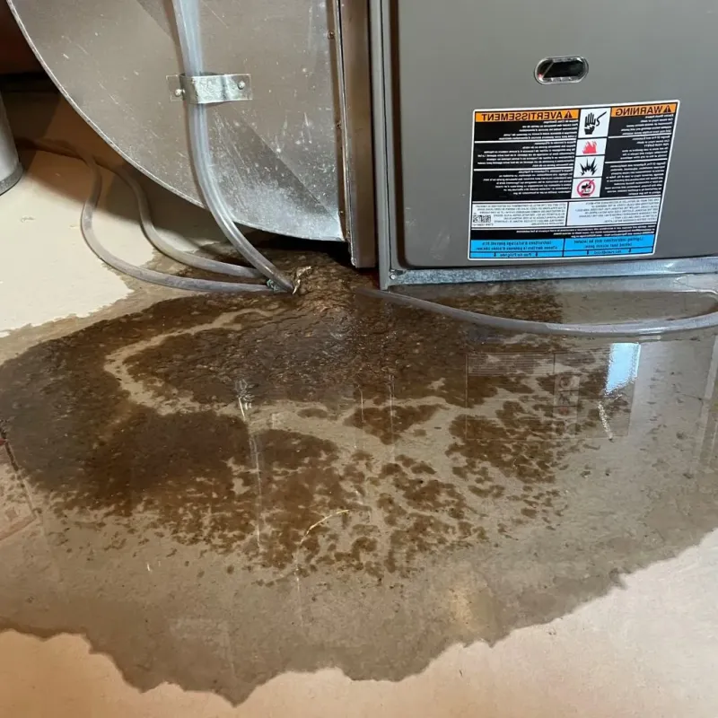 Pipe Burst and Leak Restoration in Bicknell, IN