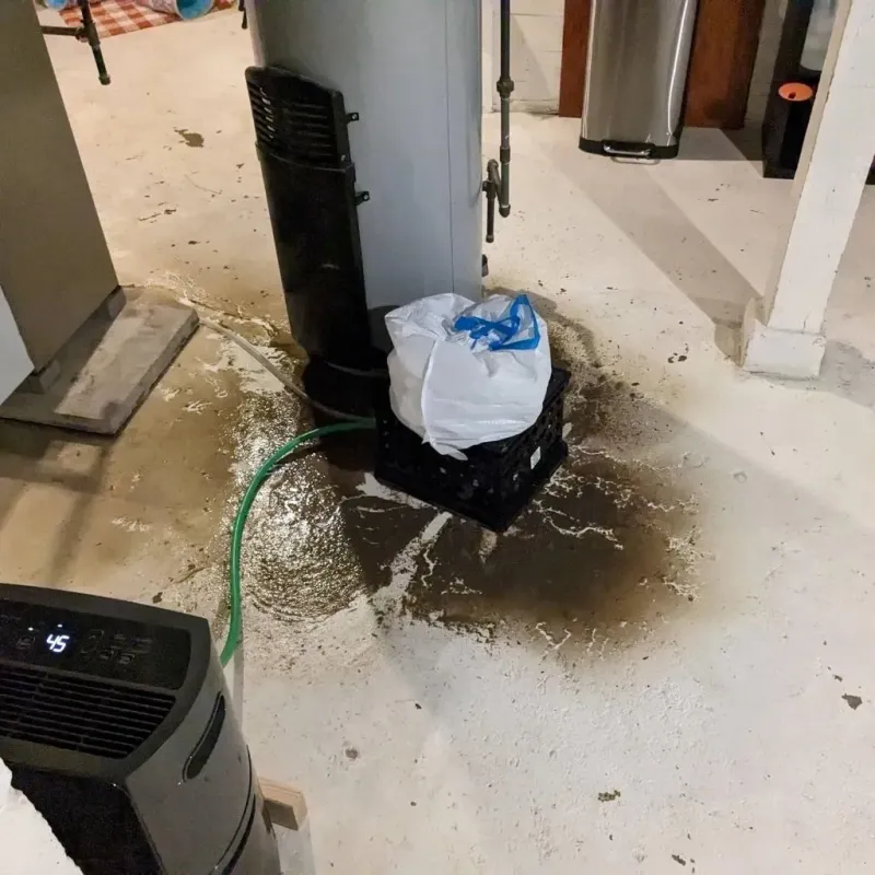 Sewage Backup Cleanup Service in Bicknell, IN
